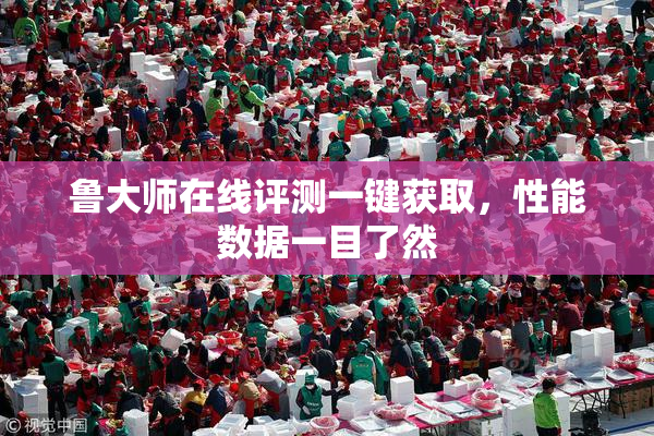 鲁大师在线评测一键获取，性能数据一目了然
