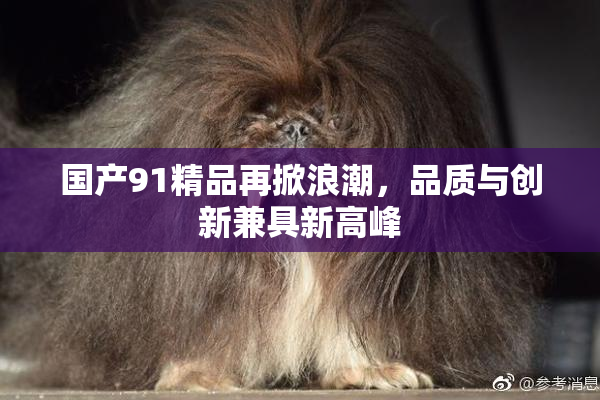国产91精品再掀浪潮，品质与创新兼具新高峰