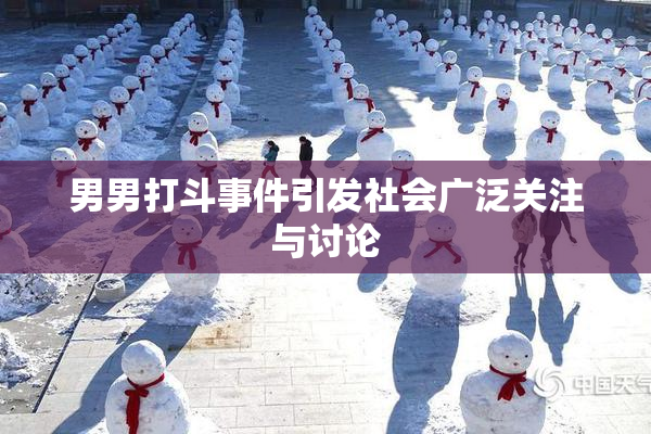 男男打斗事件引发社会广泛关注与讨论