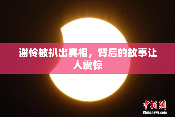谢怜被扒出真相，背后的故事让人震惊