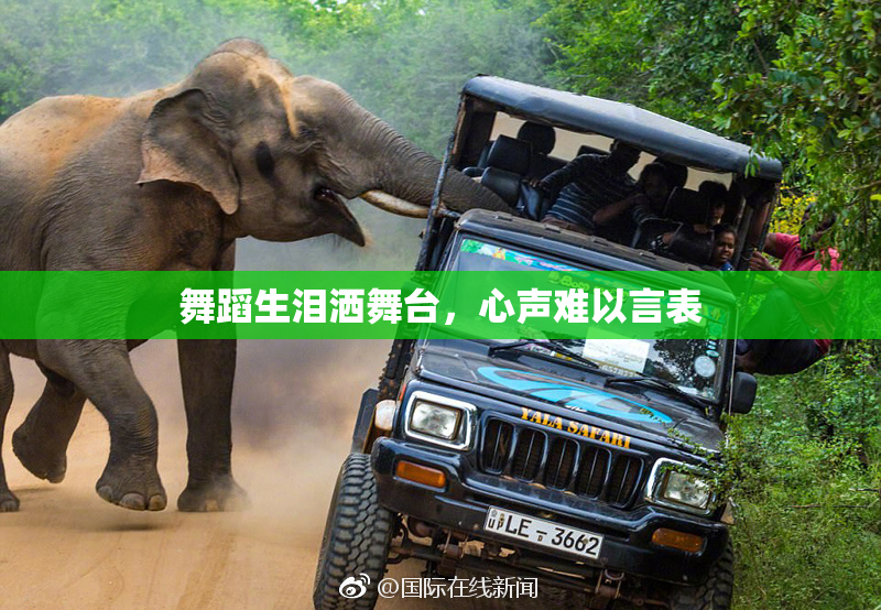 舞蹈生泪洒舞台，心声难以言表