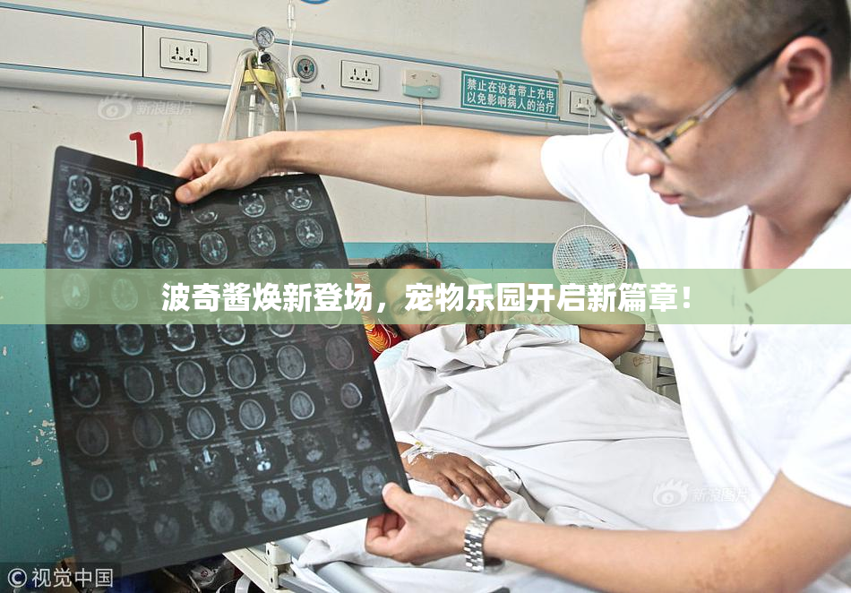 波奇酱焕新登场，宠物乐园开启新篇章！