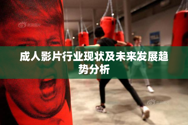 成人影片行业现状及未来发展趋势分析