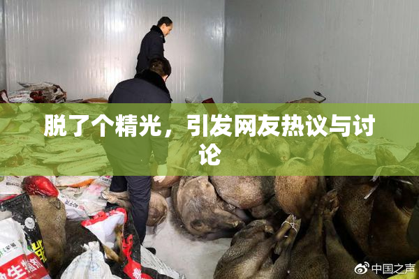 脱了个精光，引发网友热议与讨论
