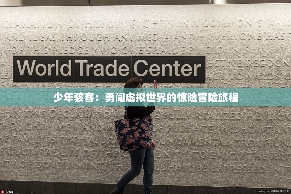 少年骇客：勇闯虚拟世界的惊险冒险旅程