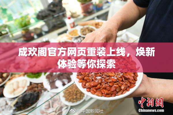 成欢阁官方网页重装上线，焕新体验等你探索