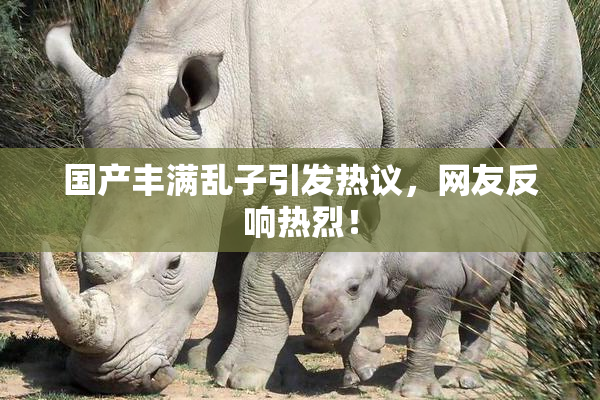 国产丰满乱子引发热议，网友反响热烈！