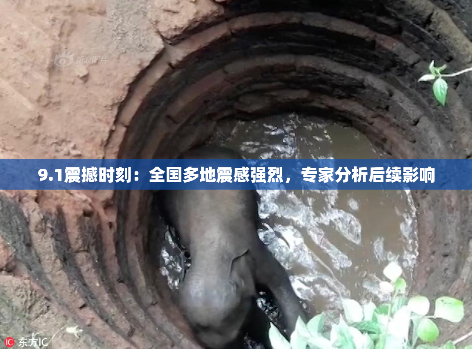 9.1震撼时刻：全国多地震感强烈，专家分析后续影响