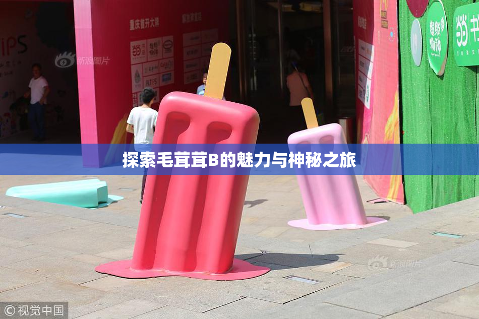 探索毛茸茸B的魅力与神秘之旅