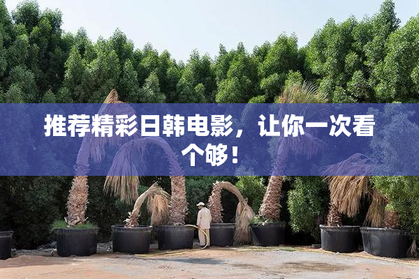 推荐精彩日韩电影，让你一次看个够！
