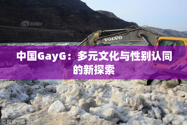 中国GayG：多元文化与性别认同的新探索