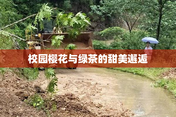 校园樱花与绿茶的甜美邂逅