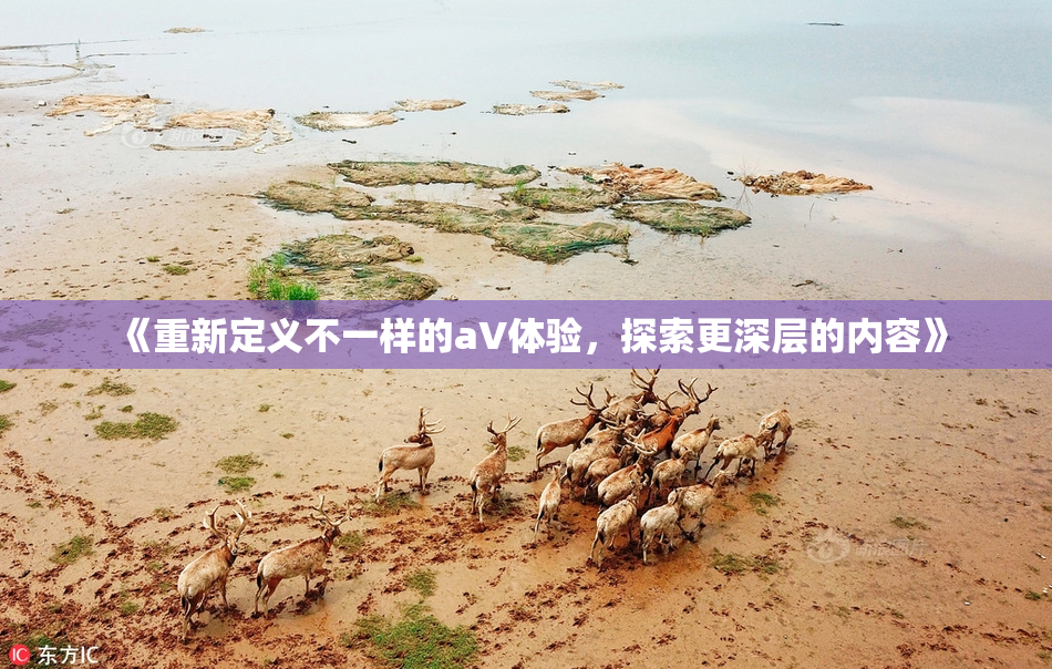 《重新定义不一样的aV体验，探索更深层的内容》
