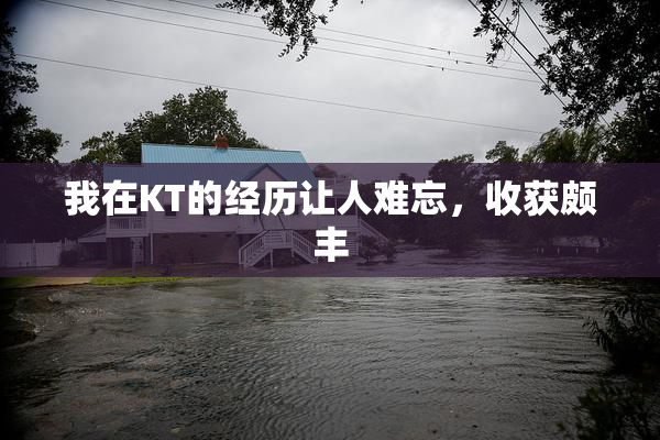 我在KT的经历让人难忘，收获颇丰