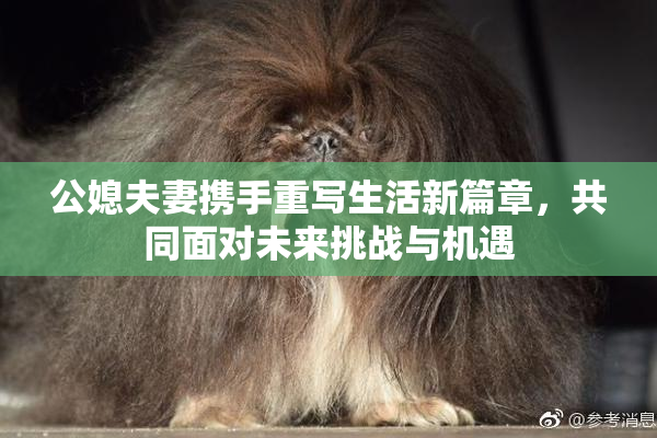 公媳夫妻携手重写生活新篇章，共同面对未来挑战与机遇