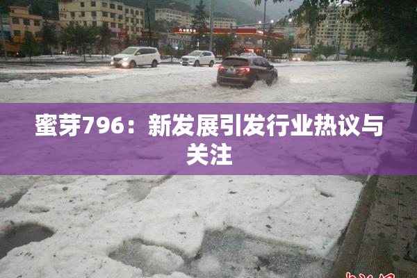蜜芽796：新发展引发行业热议与关注