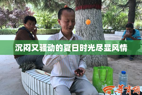 沉闷又骚动的夏日时光尽显风情