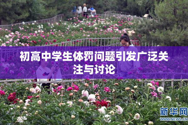 初高中学生体罚问题引发广泛关注与讨论