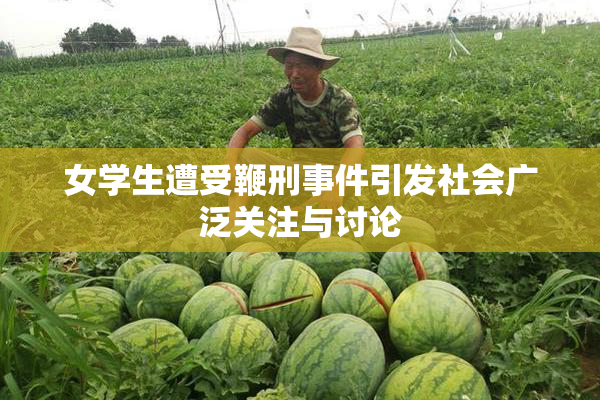 女学生遭受鞭刑事件引发社会广泛关注与讨论