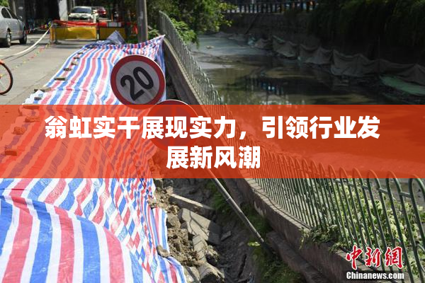 翁虹实干展现实力，引领行业发展新风潮