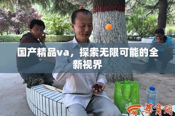 国产精品va，探索无限可能的全新视界