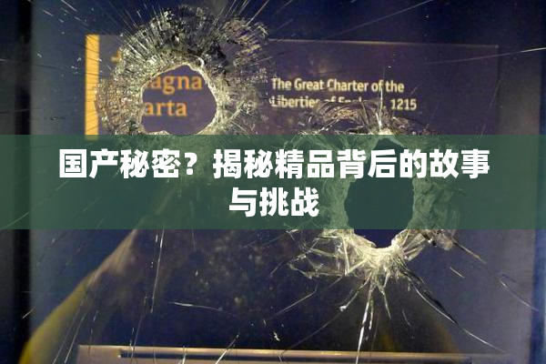 国产秘密？揭秘精品背后的故事与挑战