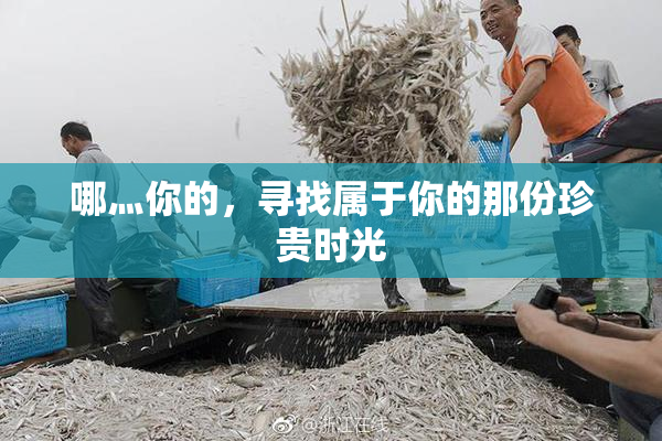 哪灬你的，寻找属于你的那份珍贵时光