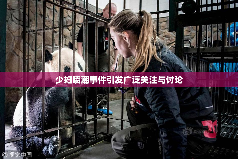 少妇喷潮事件引发广泛关注与讨论