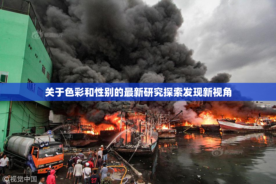 关于色彩和性别的最新研究探索发现新视角