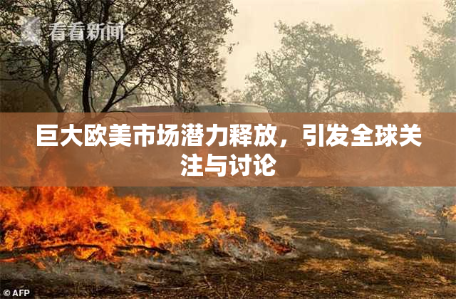 巨大欧美市场潜力释放，引发全球关注与讨论