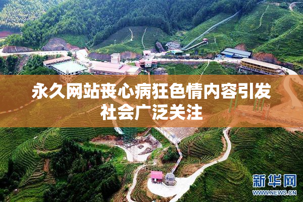 永久网站丧心病狂色情内容引发社会广泛关注