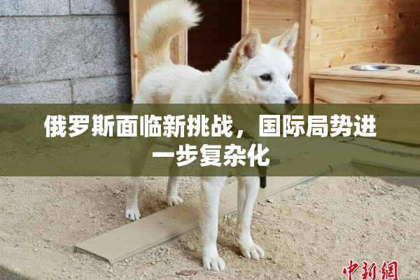 俄罗斯面临新挑战，国际局势进一步复杂化