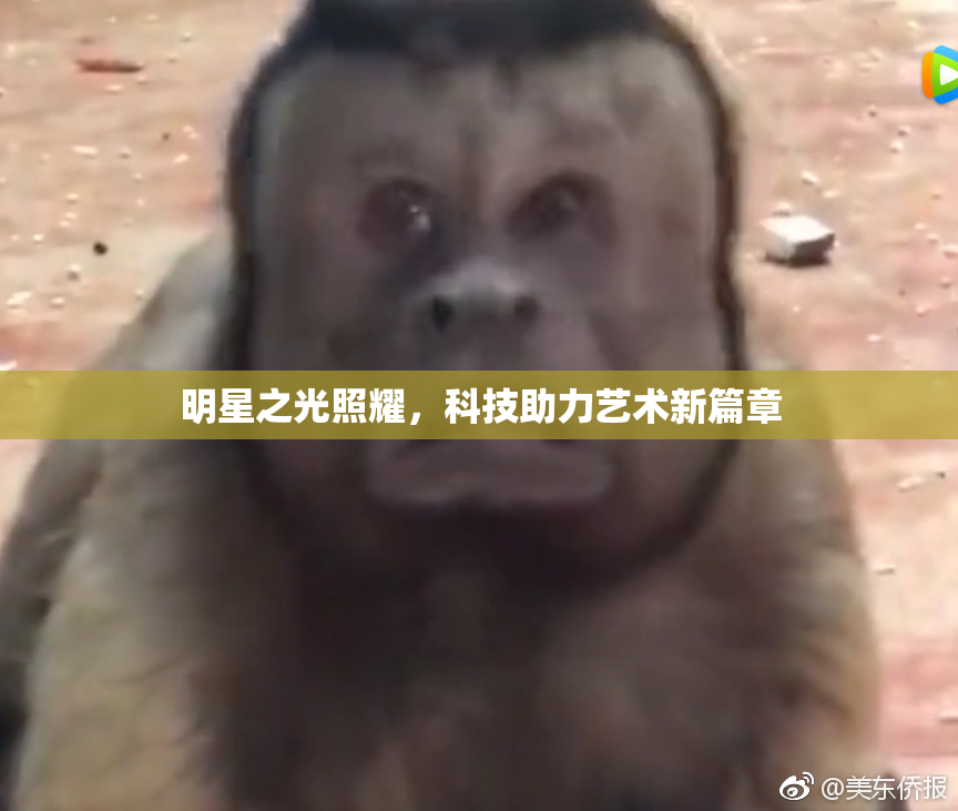 明星之光照耀，科技助力艺术新篇章