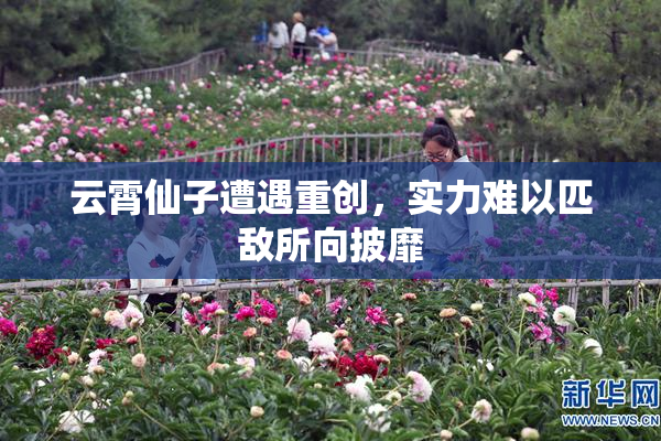 云霄仙子遭遇重创，实力难以匹敌所向披靡