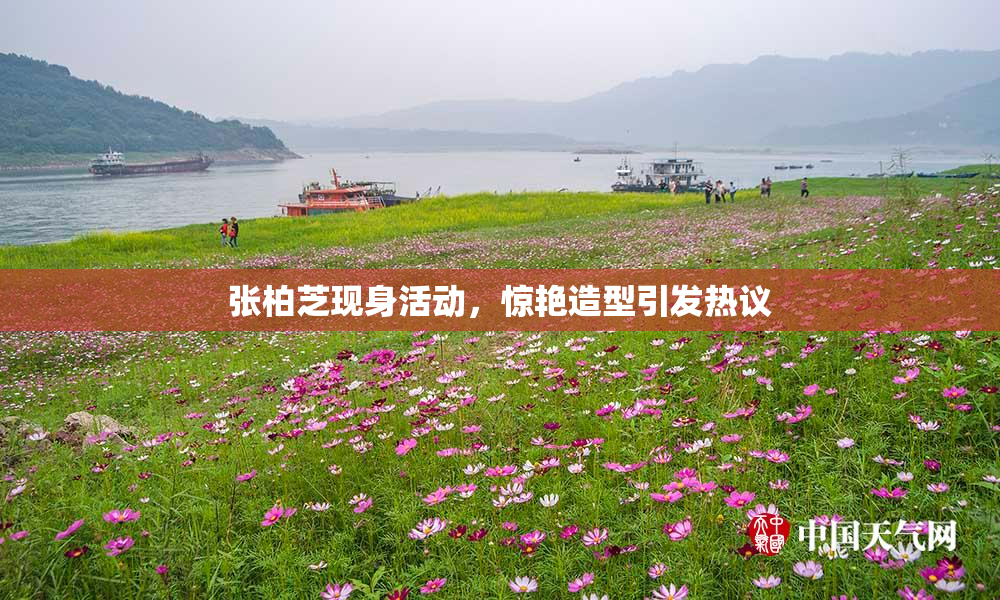 张柏芝现身活动，惊艳造型引发热议