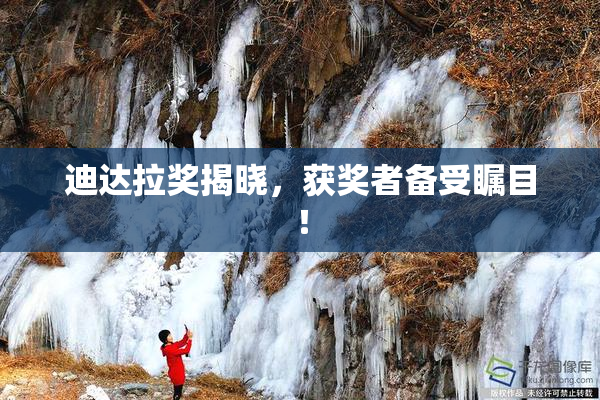 迪达拉奖揭晓，获奖者备受瞩目！
