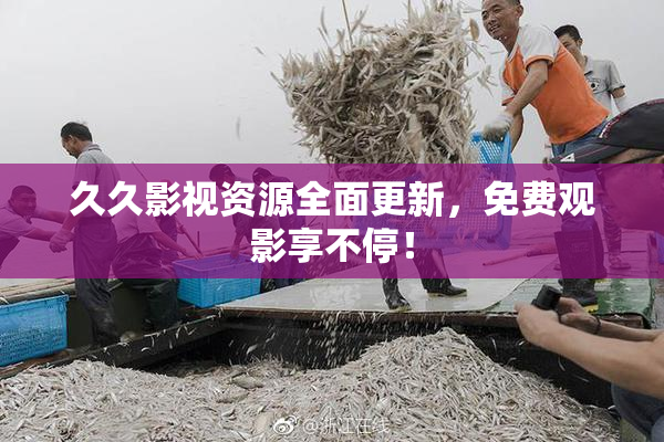 久久影视资源全面更新，免费观影享不停！