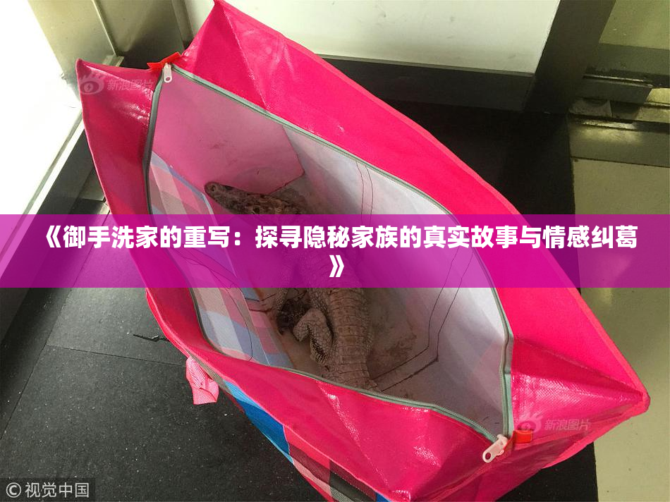 《御手洗家的重写：探寻隐秘家族的真实故事与情感纠葛》