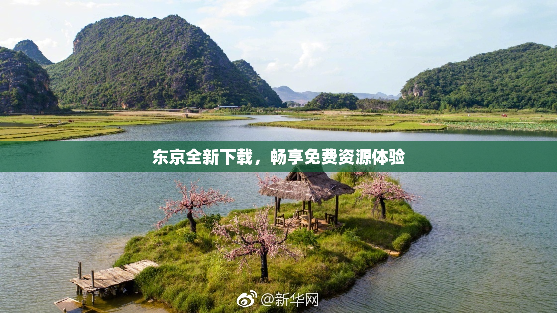 东京全新下载，畅享免费资源体验
