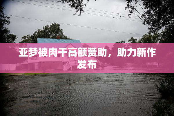 亚梦被肉干高额赞助，助力新作发布
