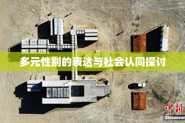 多元性别的表达与社会认同探讨