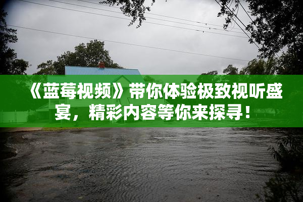 《蓝莓视频》带你体验极致视听盛宴，精彩内容等你来探寻！