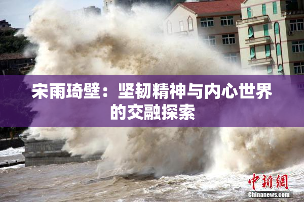 宋雨琦壁：坚韧精神与内心世界的交融探索