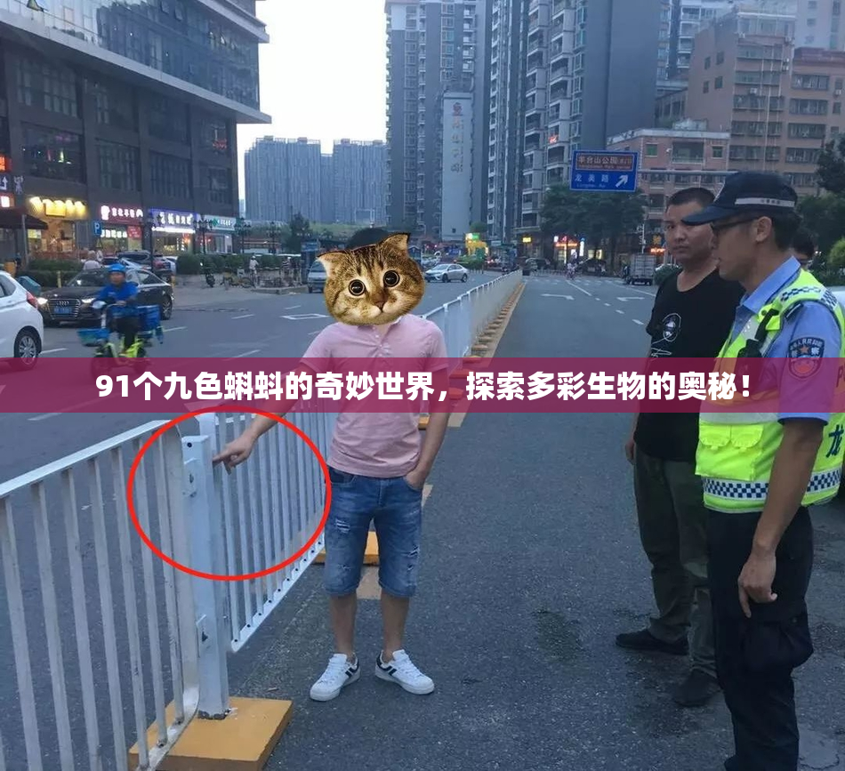 91个九色蝌蚪的奇妙世界，探索多彩生物的奥秘！