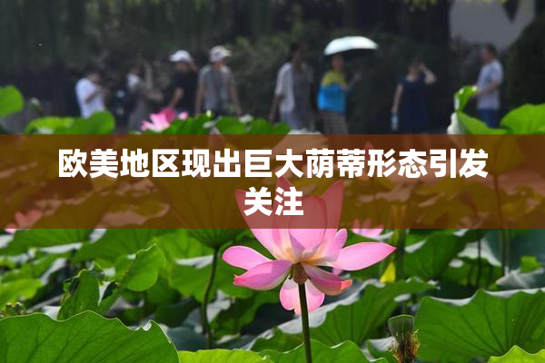 欧美地区现出巨大荫蒂形态引发关注