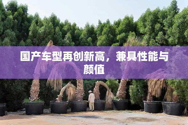 国产车型再创新高，兼具性能与颜值