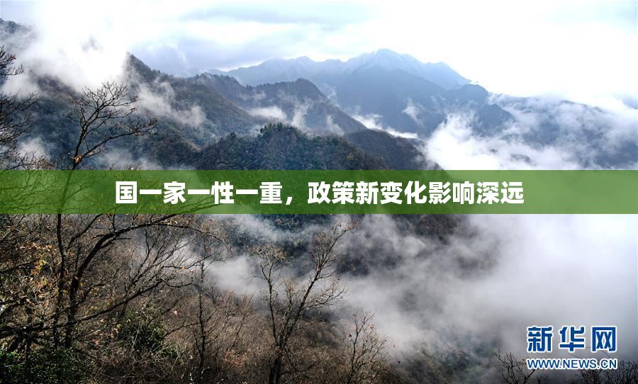 国一家一性一重，政策新变化影响深远