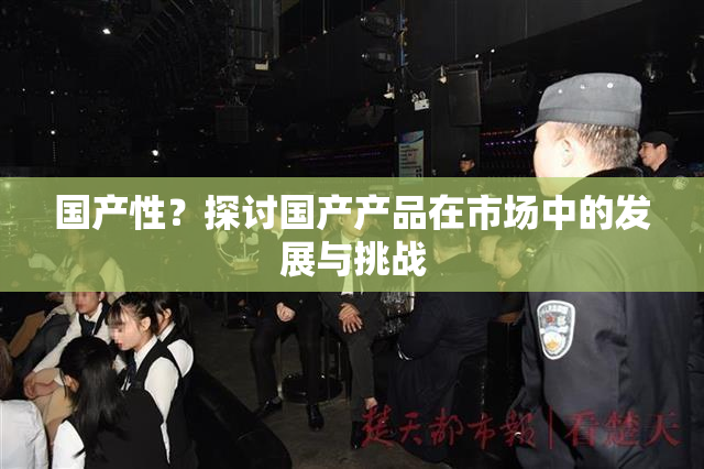 国产性？探讨国产产品在市场中的发展与挑战