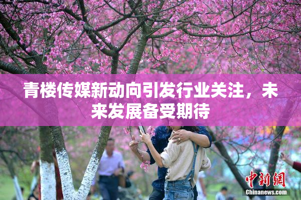 青楼传媒新动向引发行业关注，未来发展备受期待