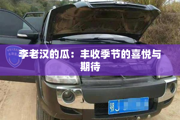 李老汉的瓜：丰收季节的喜悦与期待